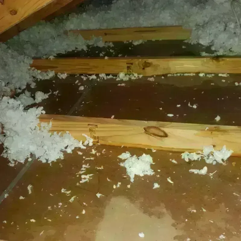 Attic Water Damage in North Scituate, MA